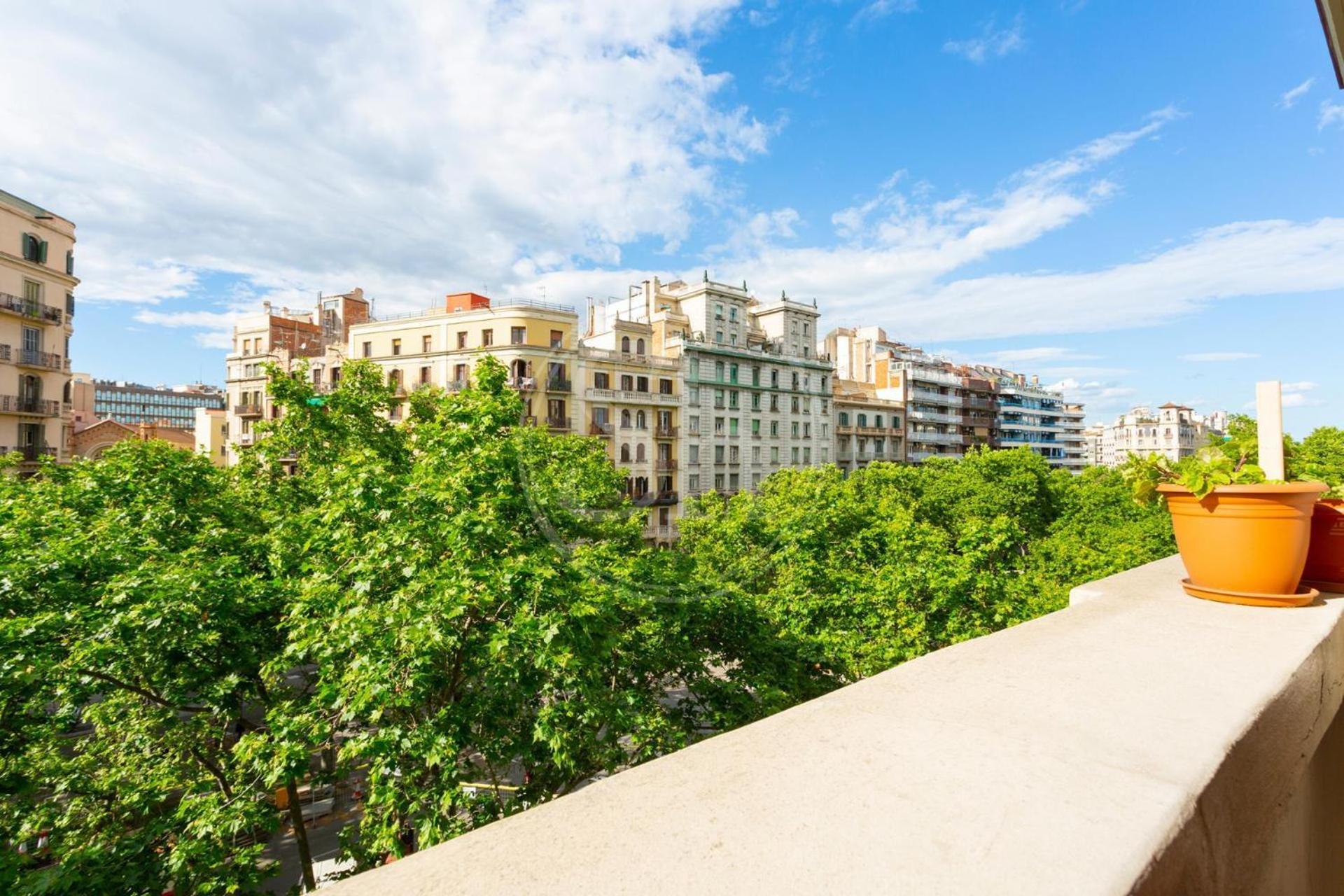 Apartamento Centrico 4
