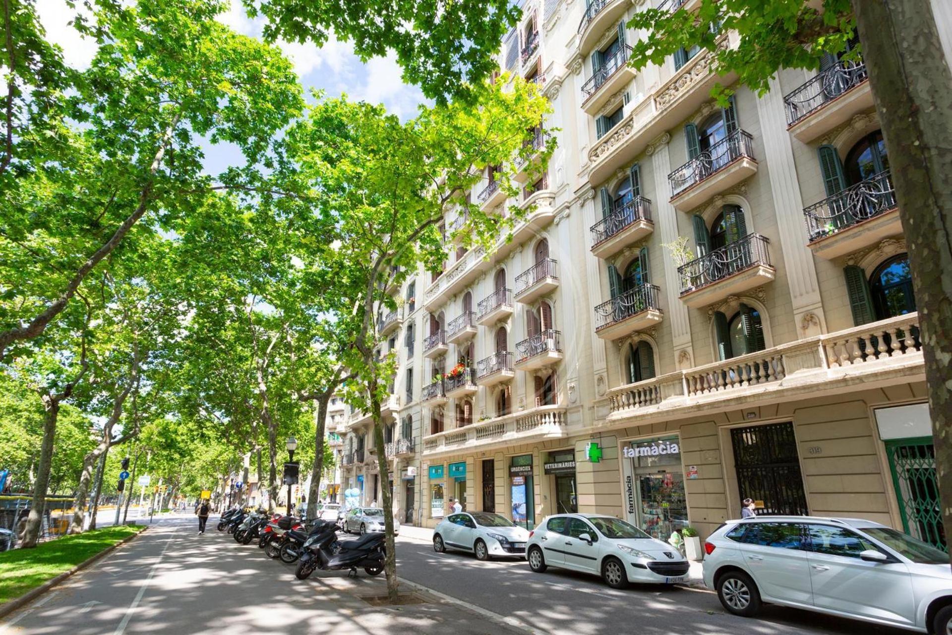 Apartamento Centrico 4 *