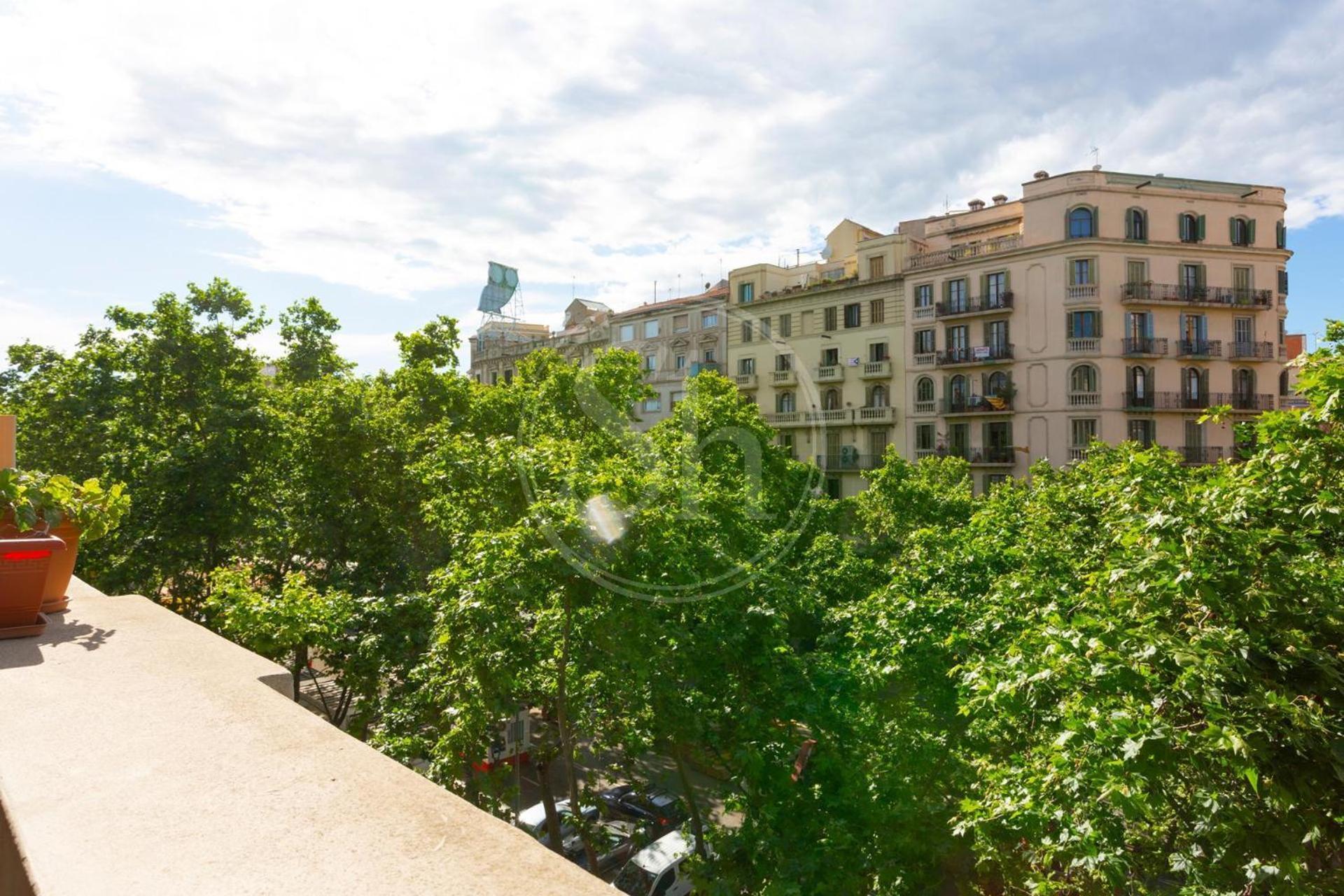 Centrico 4 Apartment